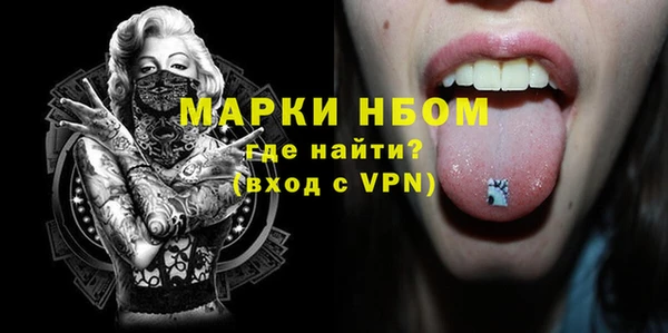 шишки Абаза