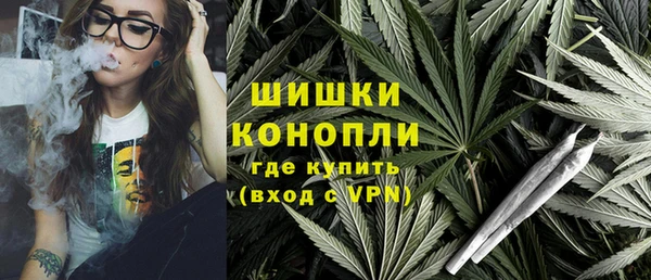 шишки Абаза