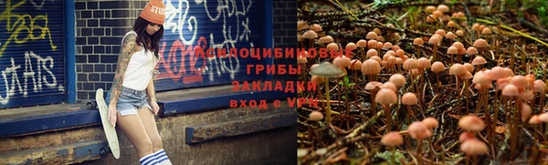 прущие крисы Алексин