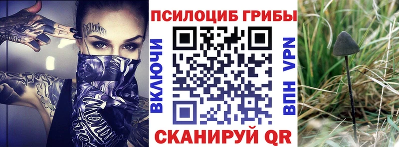 сколько стоит Шадринск Галлюциногенные грибы мицелий