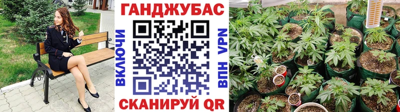 Канабис AK-47  Шадринск 